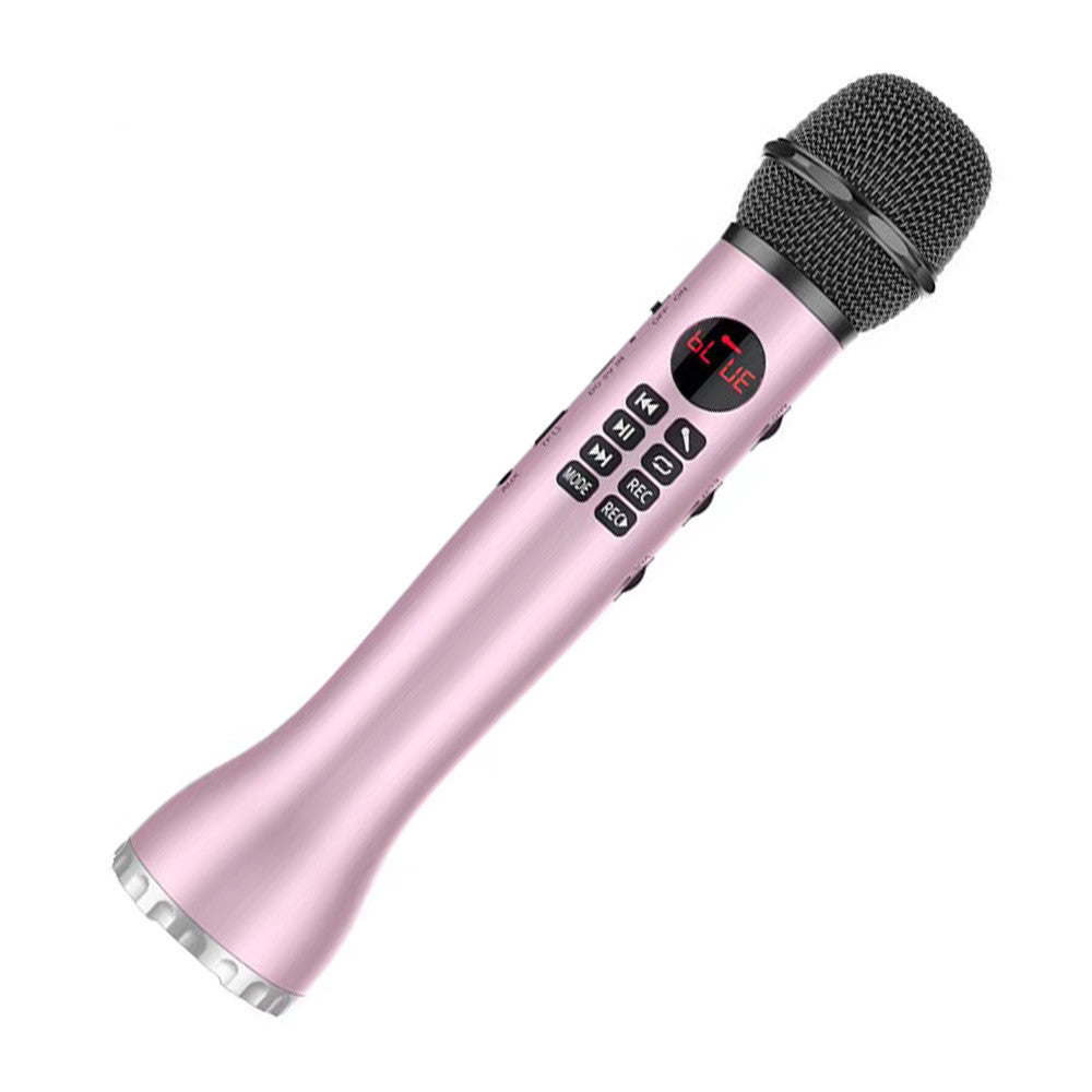 Lewinner L-598 Karaoke Microphone