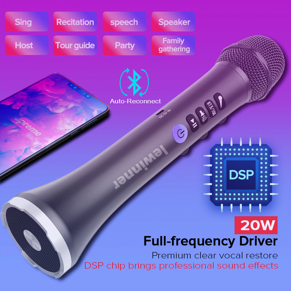 Lewinner L-698D Karaoke microphone