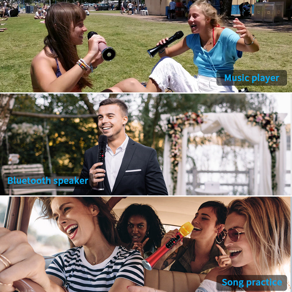 Lewinner L1098 karaoke Microphone 30W Professional Wireless Bluetooth