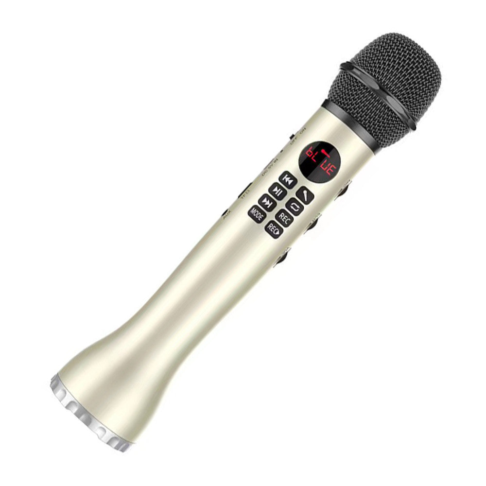 Lewinner  L-598 Karaoke Microphone
