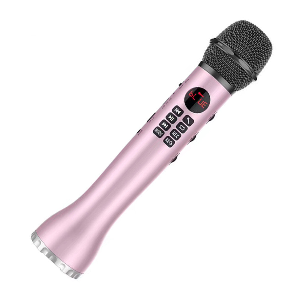 Lewinner  L-598 Karaoke Microphone