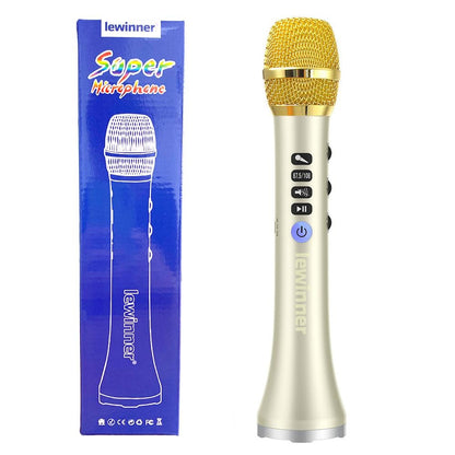 Lewinner L-698D Karaoke  microphone